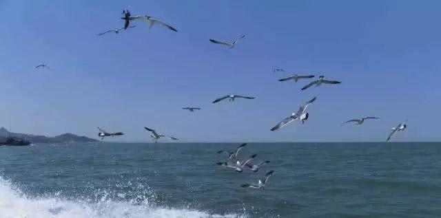 测测你这一生的命运，测试你的另一半长相