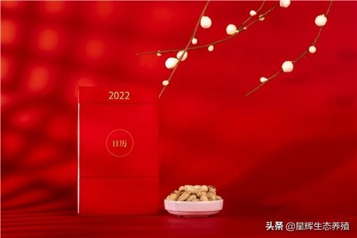 022年一月阳历表,2022年1月24日黄历"