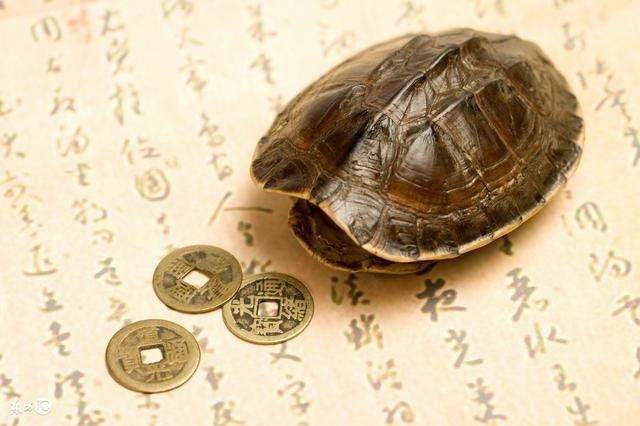 八字富贵等级查询,八字富贵女命100例