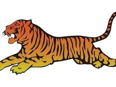 属猴的和属虎的,属猴和属虎的合不合