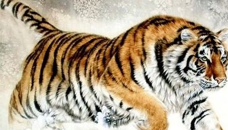 属虎1998年，1998年属虎2022 年运势