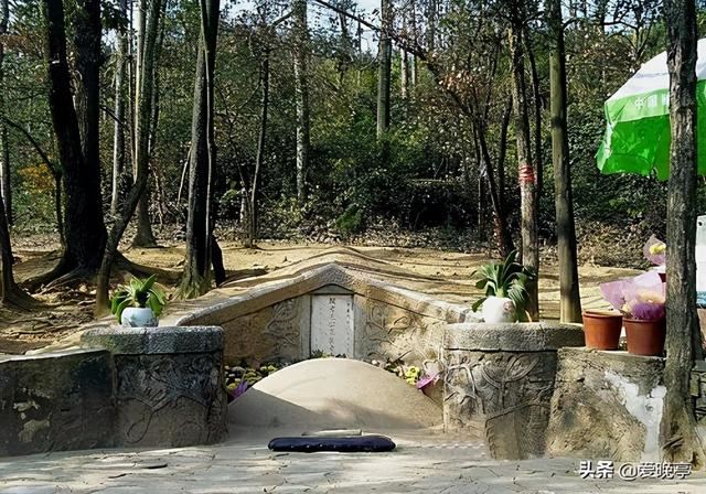 清嘉庆庚辰年是哪一年，庚辰是什么生肖