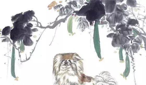 0年属狗人一生灾难，2022