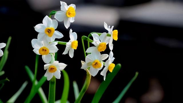 八字男女两个人缘分很深的表现，命里带缘分的人八字特征