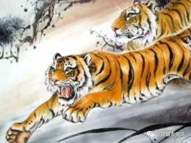 属猴的属虎的犯冲吗,属猴的会克死属虎的吗