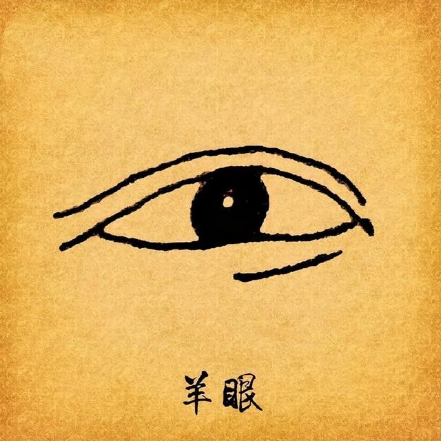 羊和鼠在一起对谁不利，羊跟鼠合不合