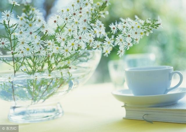 偏财格身强女命，女命月柱偏财坐七杀