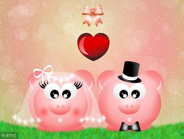 女属猪男属鼠婚配好吗,女猪和男鼠相配婚姻如何