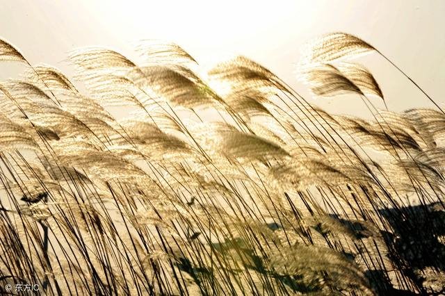 八卦顺口溜大全，八卦八个字怎么读