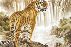 8年10月份的虎是什么命，1998年10月08号是什么命"