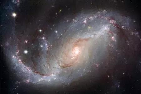 时柱甲寅是表达什么的,时柱为甲寅的女性