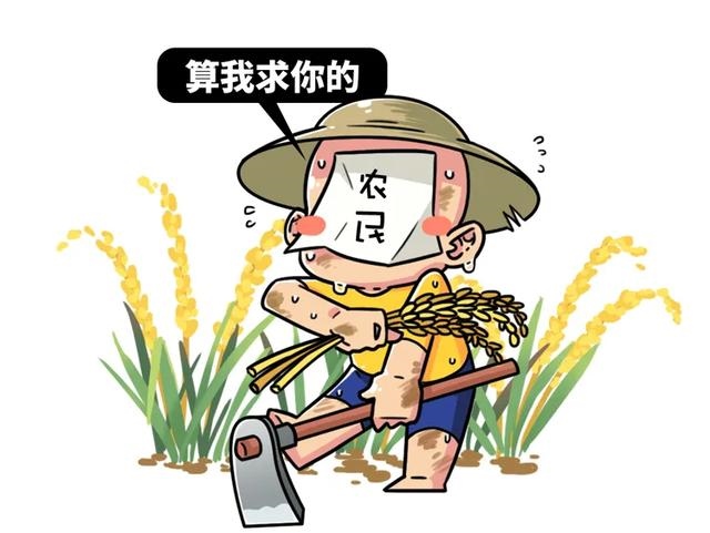 十二生肖开三数是什么意思，三数打一生肖