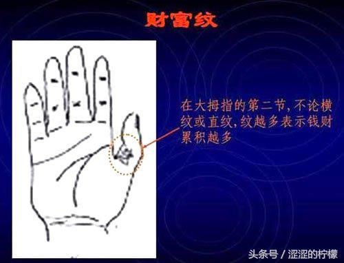 免费拍照看手相算命在线,AI测试手相