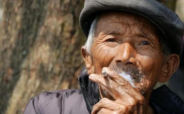 寅年是什么年份，寅年是什么生肖