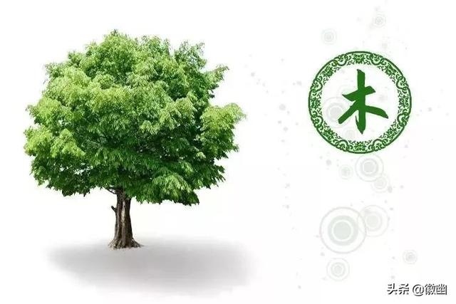 缺金木水火土怎么测算，五行缺金缺木的人性格