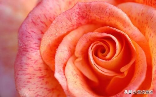 富贵双全命是上等命吗，富贵双全的八字实例