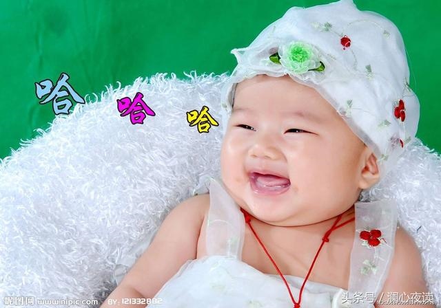 属猪的人命运好不好，猪年出生的人的命运