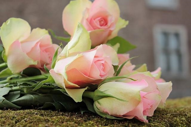 022年正缘出现的生肖人,2022年财星木出现"