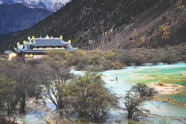 牛年的运势怎么样2022，2022年牛年运势