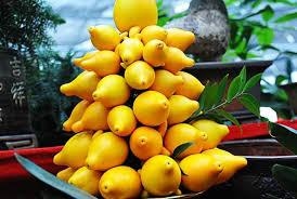 5年猪女姻缘,95年属猪的姻缘"