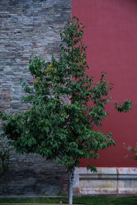 3年是什么星座，1993年水瓶座是几月"