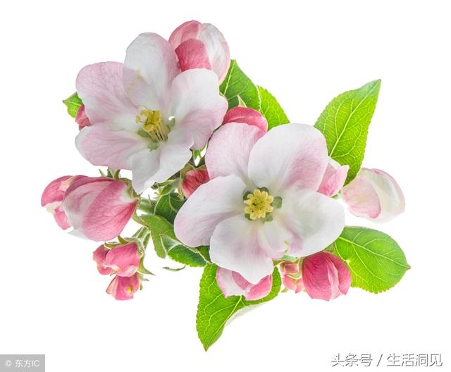 怎么看命好不好，怎么查自己的面相