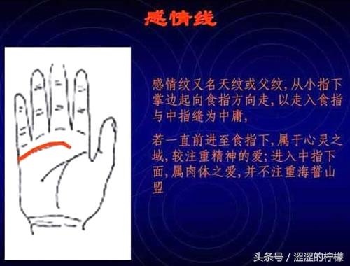 免费拍照看手相算命在线,AI测试手相