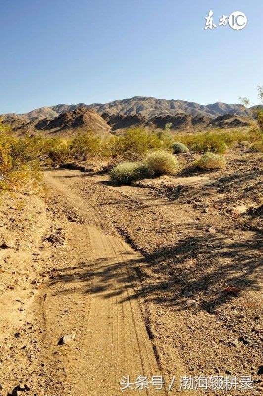 生辰八字能改吗,生辰八字查询免费