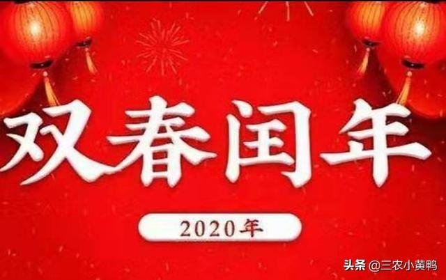 生虎宝宝好不好2022 年，2022年出生的虎宝宝什么命