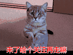 987年兔寿命断，87年属兔34岁有一劫2022"