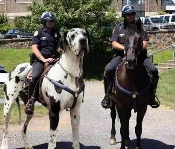 987年兔寿命断，87年属兔34岁有一劫2022"