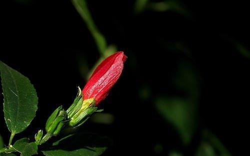 022年最糟糕的生肖女，2022年发横财的生肖"