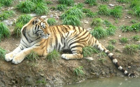 998年属什么2022年多大,1997年出生的今年几岁2022"