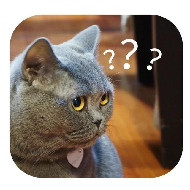 科学算命免费算命，免费生辰八字农历