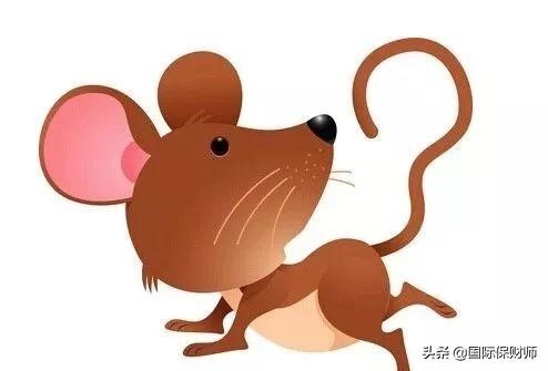 李居明2022年属马运势，李居明2022 年生肖马运势运程
