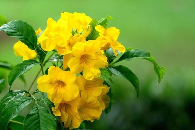 022十二生肖运程大全每个月，2022生肖运势"