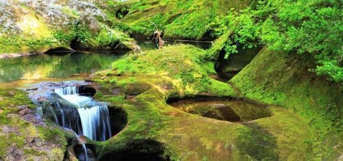 寅时女特别优秀,新疆舞优秀对跳
