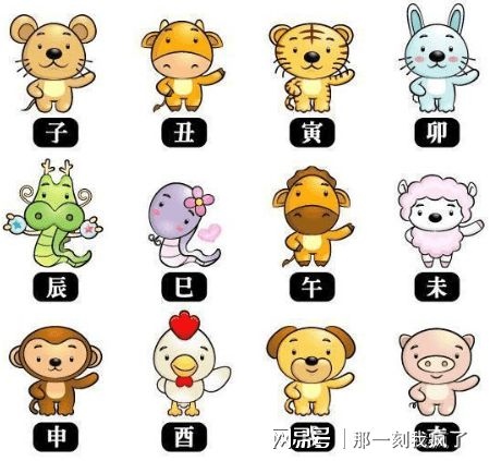 十二时辰配对姻缘,男女属相更佳婚配表