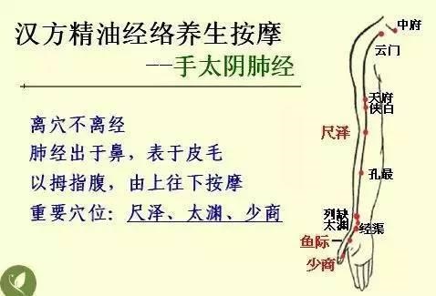 金木水火土五行查询表图片，金木水火土教学图片