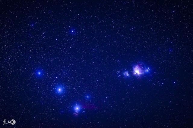 戊戌年庚申月好八字,戊戌月女命详细解析