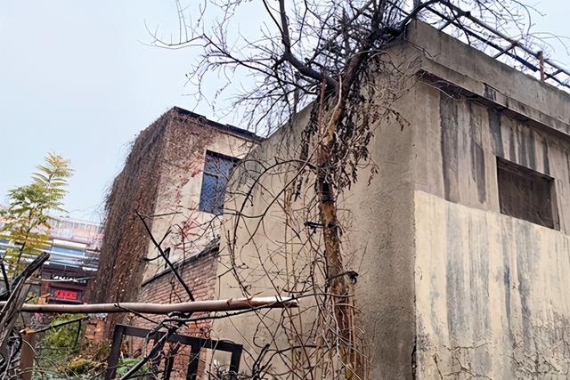 女命二两四详细解释，2两4钱女什么命