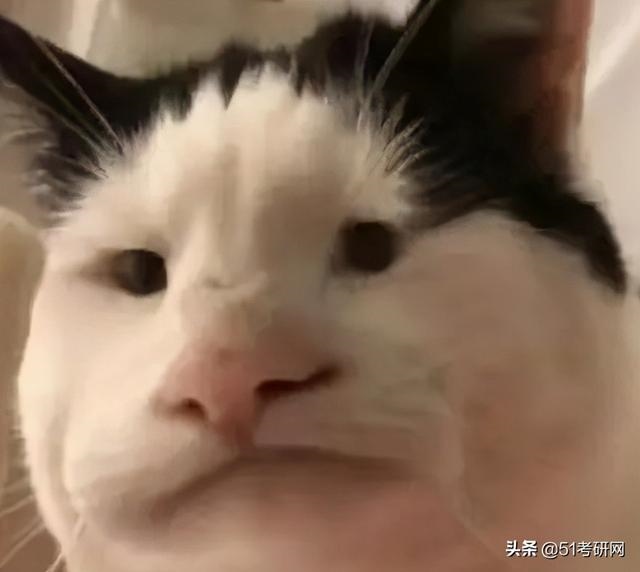 2年属猴最难的几年，1992年属猴是什么命"