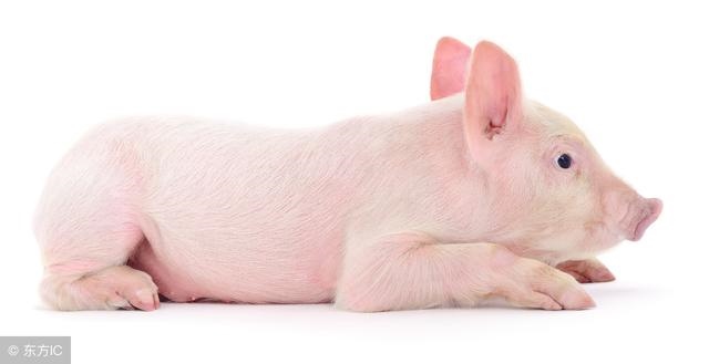 8年属虎男何时有姻缘，98属虎一生三大坎"