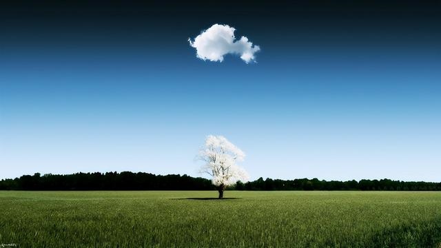 属牛宝宝五行缺什么，2022 属牛宝宝五行缺什么