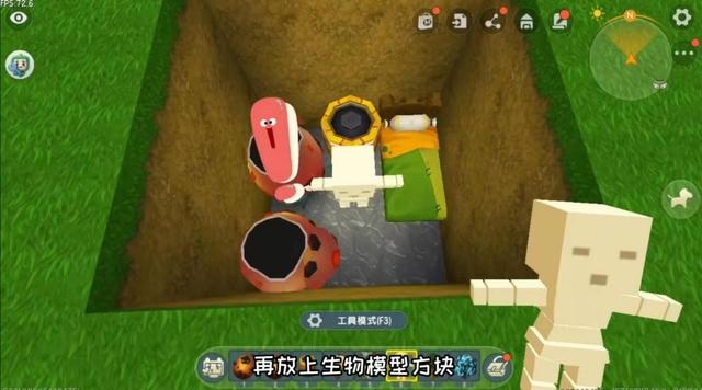 宠物兔会生宝宝吗，兔子生小兔视频