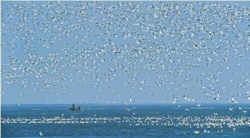 女命行嫁大利月对照表，嫁娶大小利月表格