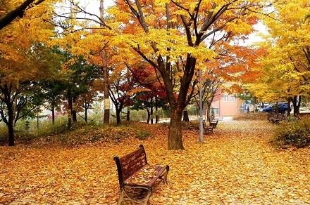 一九九五年属猪人今年的命运,1995属猪的三大坎