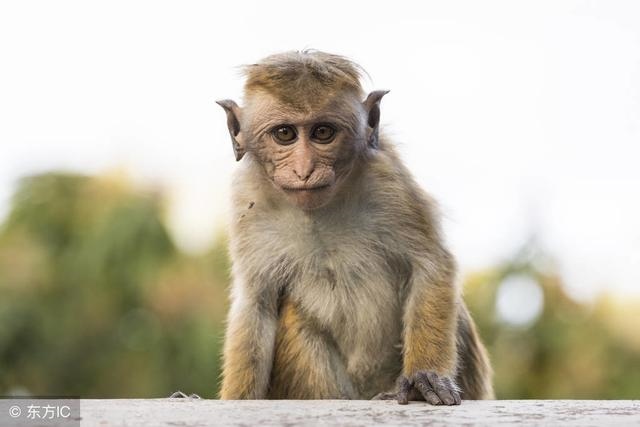 968年今日运势，1992年今年运势"