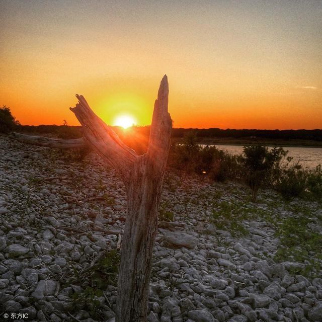 辛未辛卯乙巳戊寅,丙寅庚子丙戌辛卯