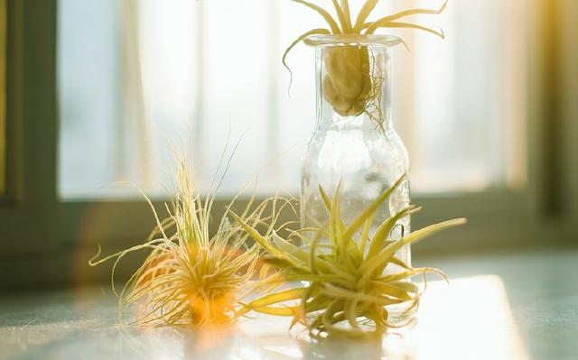 2年生肖猴什么时候运势好起来，属猴的人那年有答案"